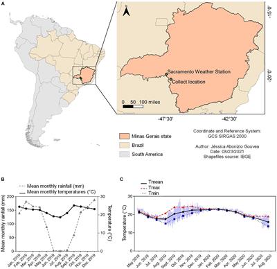 Thermal Acclimation to the Highest Natural Ambient Temperature Compromises Physiological Performance in Tadpoles of a Stream-Breeding Savanna Tree Frog